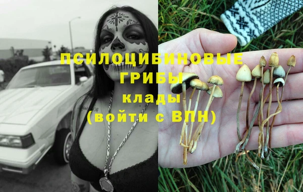 герыч Алексин