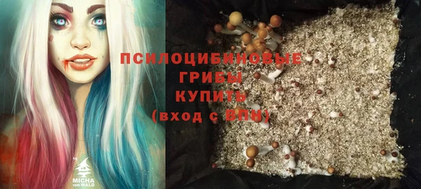 первитин Алексеевка