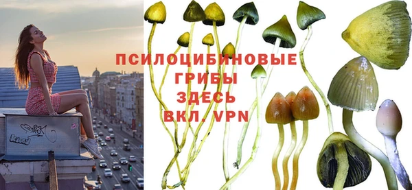 винт Алзамай