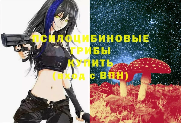первитин Алексеевка