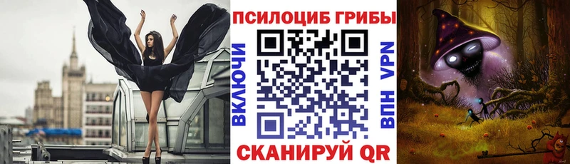 цена   Ейск  Псилоцибиновые грибы Psilocybine cubensis 